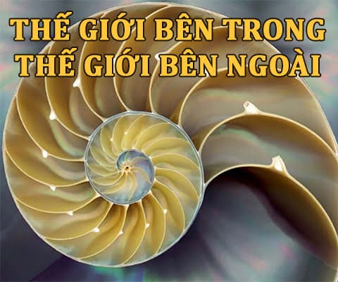 Thế Giới Bên Trong - Thế Giới Bên Ngoài