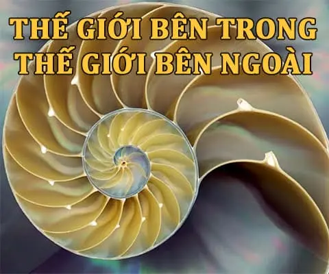 Thế Giới Bên Trong - Thế Giới Bên Ngoài