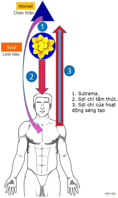 154-huong-dan-thang-thien-toan-tap-lam-the-nao-de-dat-duoc-thang-thien-trong-kiep-song-nay-chuong-5-kien-tao-duong-antakarana-va-cau-vong-2.jpg