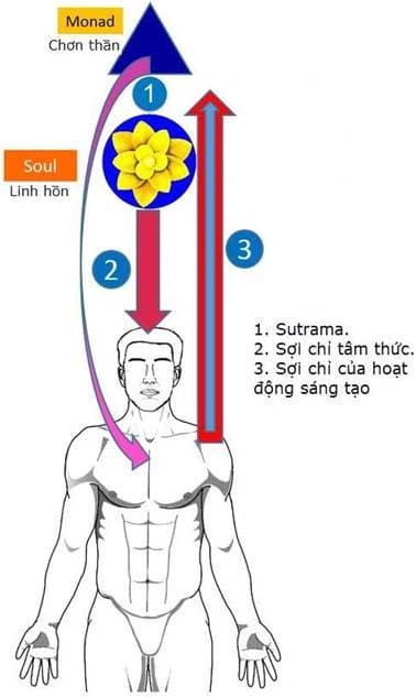 158-huong-dan-thang-thien-toan-tap-lam-the-nao-de-dat-duoc-thang-thien-trong-kiep-song-nay-chuong-9-linh-hon-4.jpg