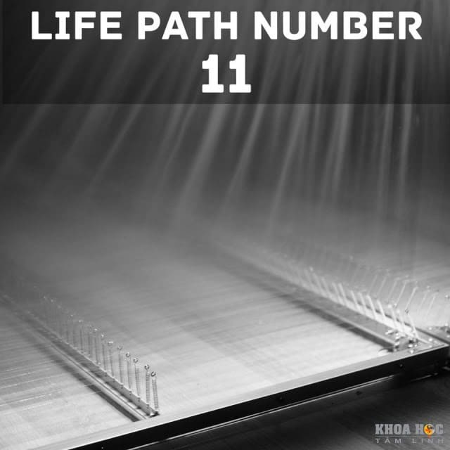 939-numerology-life-path-so-11-master-number-11-1.jpg
