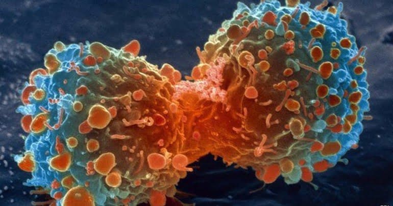 Tại Sao Chúng Ta Mắc Bệnh? – NST Tại Sao Chúng Ta Mắc Bệnh? – NST