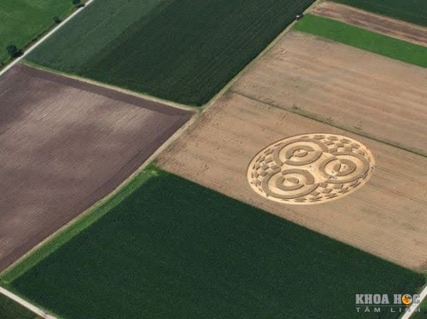 1364-giai-ma-y-nghia-vong-tron-ngoai-hanh-tinh-khong-lo-giua-canh-dong-o-duc-2.jpg