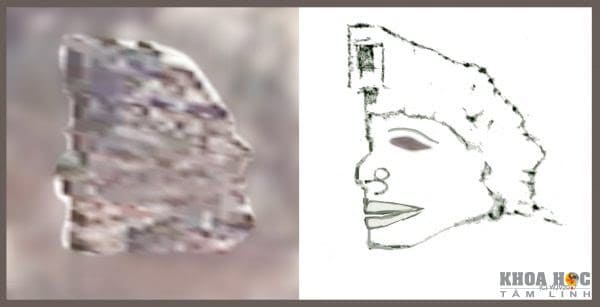 1367-nha-khao-co-hoc-tuyen-bo-da-tim-thay-bang-chung-ve-nen-van-minh-co-dai-tien-tien-o-nam-cuc-7.jpg