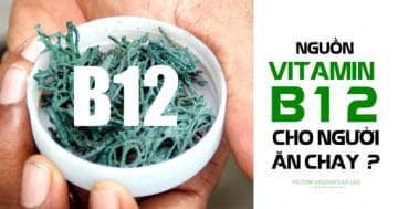 Nguồn Vitamin B12 Cho Người xơi Chay