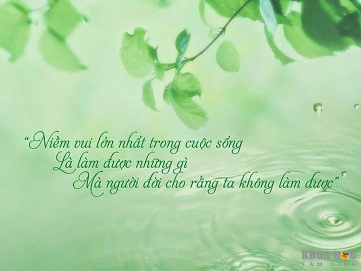 2311-60-cau-noi-hay-ve-cuoc-song-giup-ban-nghi-khac-di-3.jpg