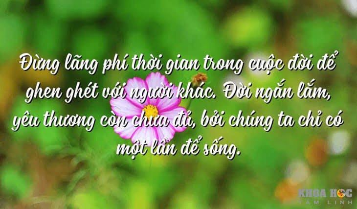 2311-60-cau-noi-hay-ve-cuoc-song-giup-ban-nghi-khac-di-4.jpg