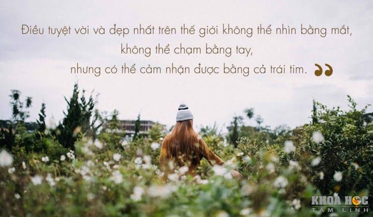 2311-60-cau-noi-hay-ve-cuoc-song-giup-ban-nghi-khac-di-6.jpg