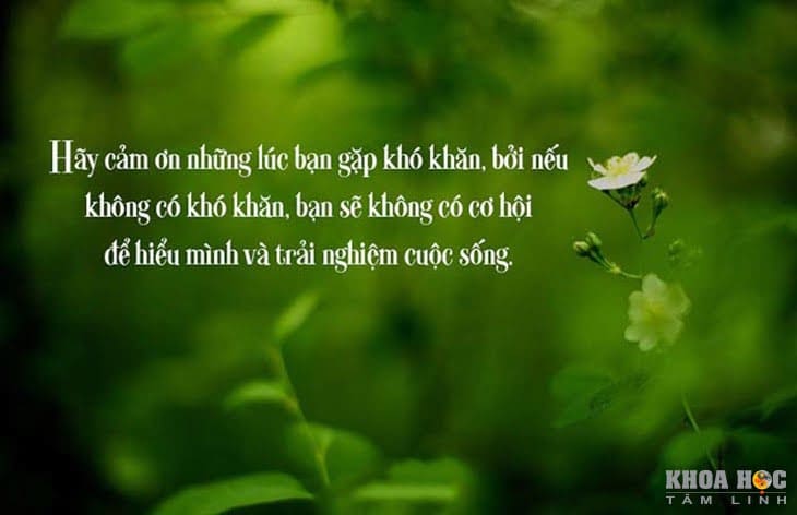 2311-60-cau-noi-hay-ve-cuoc-song-giup-ban-nghi-khac-di-9.jpg
