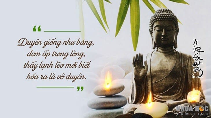 70+ Câu Nói Hay Của Phật Khiến Bạn Phải Suy Ngẫm, Khoa Học Tâm Linh