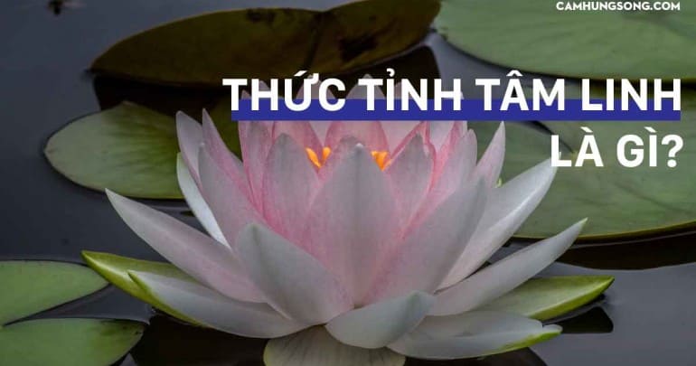 Bạn Đã Thực Sự Thức Tỉnh Tâm Linh Chưa?