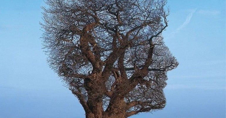 Lựa Chọn Hay Nỗ Lực? Nhiều Tiền Để Làm Gì? Theo Đuổi Đam Mê?