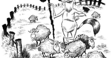 Đàn Cừu Và Bầy Sói