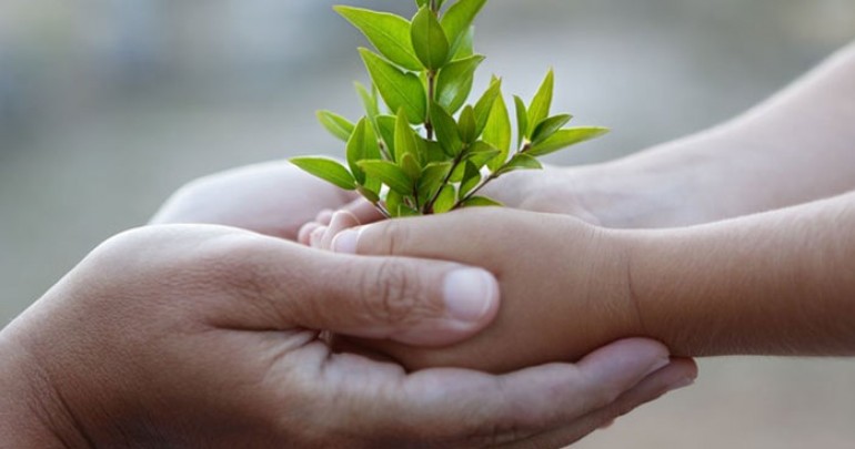 Khi Lòng Người Đủ Bao Dung