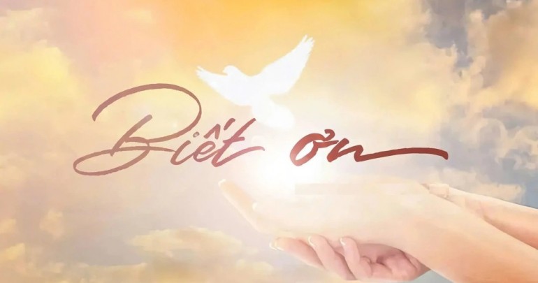 Khi Mất Rồi Mới Thấy Biết Ơn Những Gì Mình Đang Có