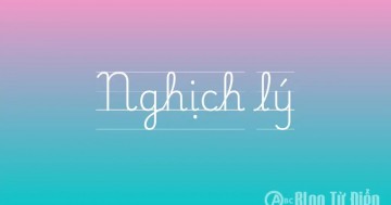 Người Vô Tình Nhất Lại Là Người Hữu Tình Nhất