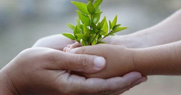 Khi Lòng Người Đủ Bao Dung