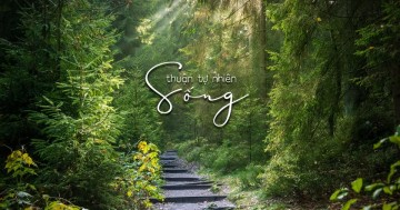 Thuận Tự Nhiên Thì Tự Nhiên Thuận