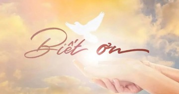 Khi Mất Rồi Mới Thấy Biết Ơn Những Gì Mình Đang Có