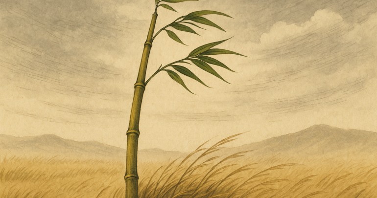 Giải Ngộ 25: Về Cuộc Sống Cân Bằng