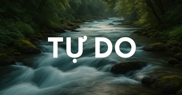Tầng 5: Tự Do