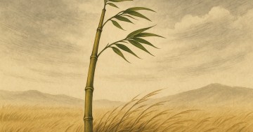 Giải Ngộ 25: Về Cuộc Sống Cân Bằng